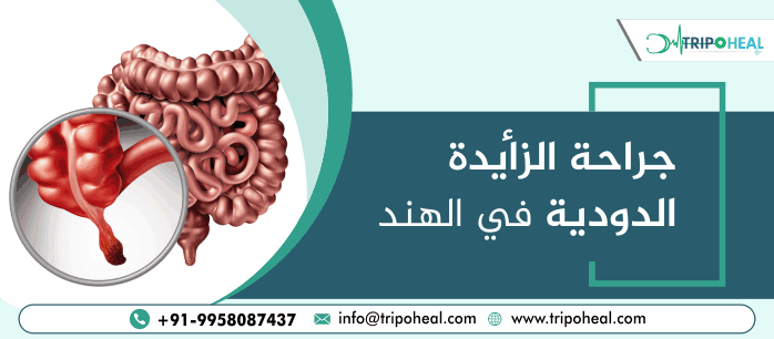 جراحة الزائدة الدودية في الهند